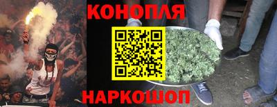 стаф Лесосибирск