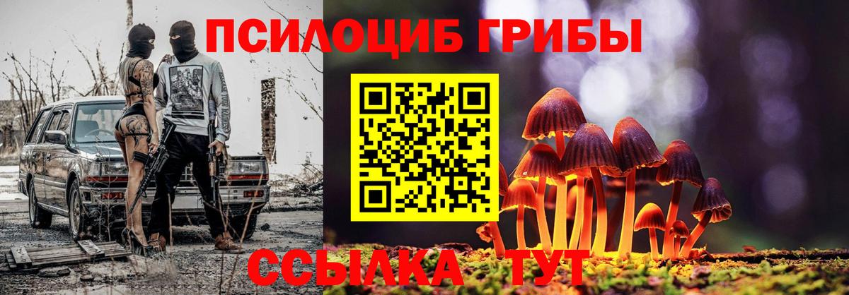 Псилоцибиновые грибы Magic Shrooms  Вход с VPN  Псилоцибиновые грибы Psilocybine cubensis  Екатеринбург 