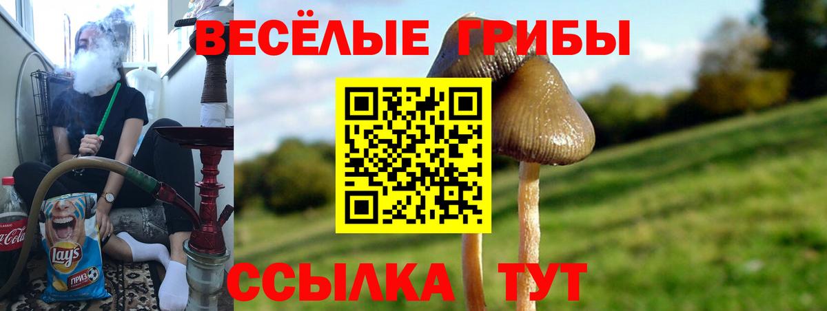 Псилоцибиновые грибы ЛСД Екатеринбург